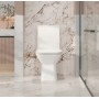Aria Rimless Toilet Suite
